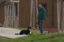 The dog and his master