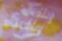 Jelly Belly