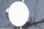 Antena