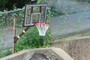 basketball hoop