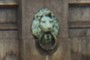 Another lion
