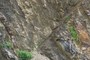 Fault