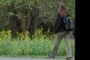 Hiker