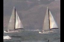 28759-210x140