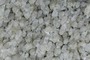 Preferred alignment of grains