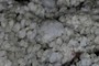 Outsized grain
