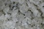 Preferred alignment of grains