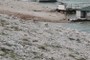 the cove