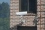 Clemson House Web Cam