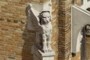 Griffin