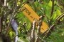 Sold Tag