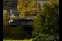 Covered Bridge