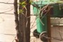 Broken Wires