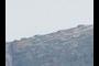 5 Cog Railway trains