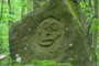 face