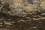 stretched pebbles
