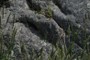 outcrop