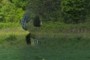 ghost gigapanner