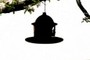 A Birds House