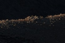 306163-210x140