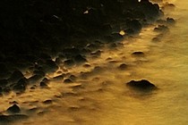 272383-210x140