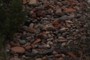 River Rock