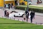 two spouses, one car