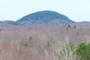 Mont Sutton