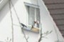 Bird 1