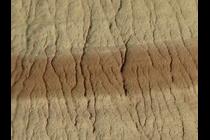 29086-210x140