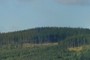 Vysoká hora (1031 m n.m)