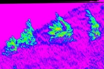 273572-210x140