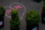 LOVE PAULINE
