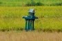 Spirit House