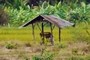 บ้านปลายนา