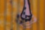 whats this?