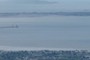 Dublin Bay
