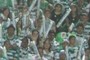 campeones