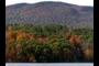 Fall color