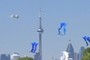 Seagull, CN Tower and kites
