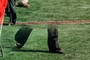 Invisibility Cloak
