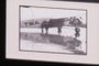Picture within a picture