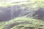 Cascades