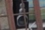 Speaker in mirror