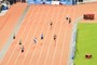 Relay Runners