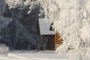 Hidden Cabin
