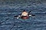 Kayakers