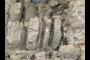 Vertical rock beds