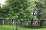 Wilmarth Residential Hall