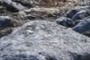 Granitic intrusive rocks of the Nuka pluton